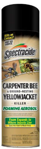 Spectracide Carpenter Bee & Ground-Nesting Yellowjacket Killer Foaming Aerosol, 16 oz