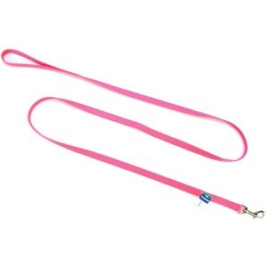 Nylon Puppy Leash Size: 0.6" W x 72" L, Color: Neon Pink