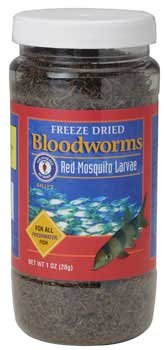 Bloodworms Freeze Dried 1 Oz