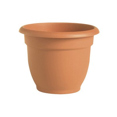 Round Pot Planter Color: Clay, Size: 8" H x 8" W x 8" D