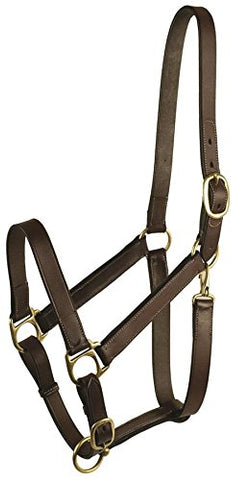 GATSBY LEATHER COMPANY 282995 stable Halter with Snap Havanna Brown, Large Horse