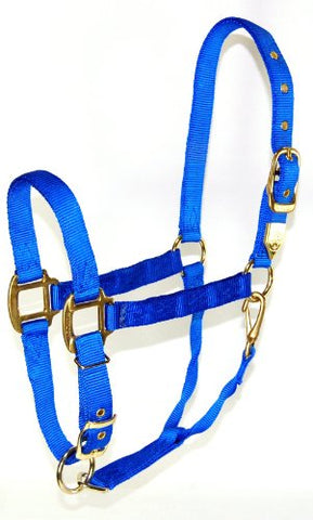 Hamilton 1-Inch Nylon Halter with Adjustable Chin, Blue - Draft Horse Size