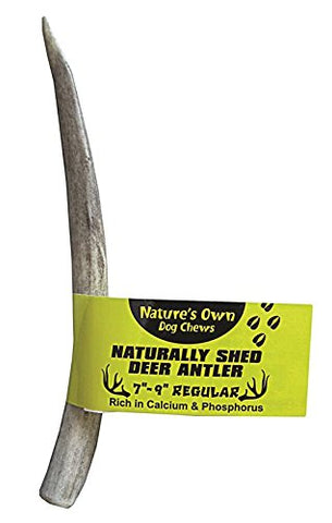 Best Buy Bones 395046 Amer Reg Deer Antler Bulk for Pets, 7-9-Inch