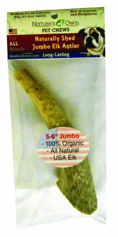 Best Buy Bones Jumbo Shed Elk Antler 5-6 inches