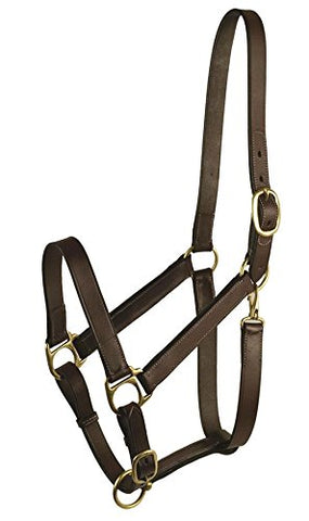 GATSBY LEATHER COMPANY 283541 Leather Halter Havanna Brown, Horse