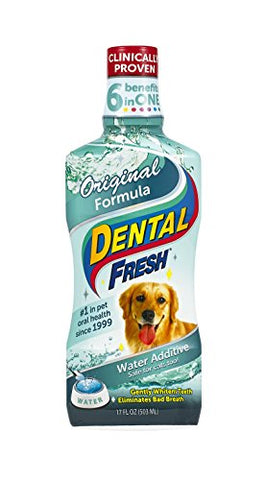 SynergyLabs Dental Fresh Original Formula, 17 ounces