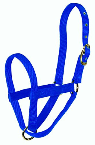 Hamilton Cow Turn Out Halter, 1-Inch, Blue