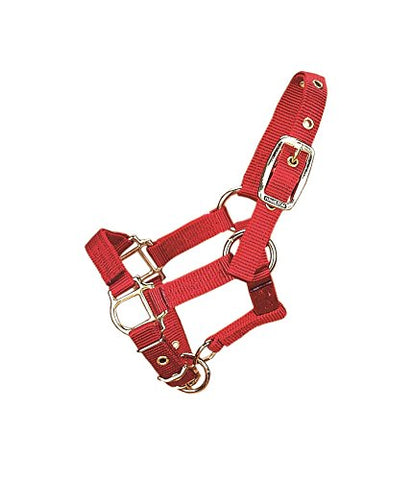 Hamilton Adjustable Miniature Nylon Horse Halter