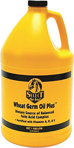 RICHDEL Wheat Germ Oil Plus Vit A-D-E