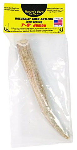 Best Buy Bones 7-9" Jumbo Elk Antler