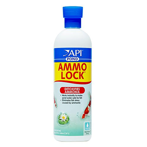 API POND AMMO-LOCK Pond Water Ammonia Detoxifier 16-Ounce Bottle