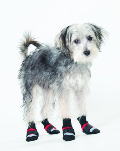 Fashion Pet Lookin Good Extreme All Weather Boots for Dogs, Small, Red