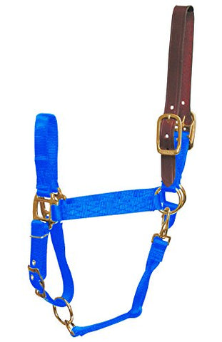 Hamilton 1-Inch Nylon Adjustable Horse Halter with Leather Head Poll and Throat Snap, Small, Blue