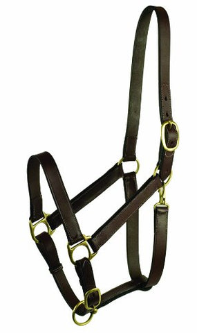 GATSBY LEATHER COMPANY 203-4 Stable Halter