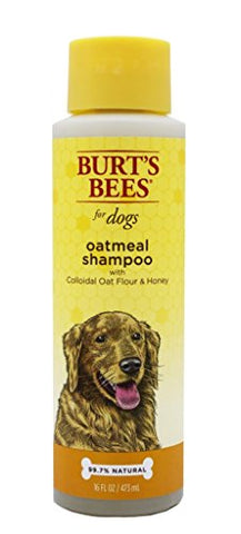 Burt's Bees for Dogs All-Natural Oatmeal Shampoo with Colloidal Oat Flour and Honey | Best Oatmeal Shampoo for All Dogs And Puppies With Itchy Skin, 16 ounces