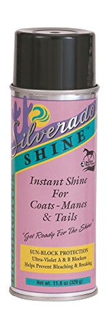 SILVERADOÂ SHINEÂ HIGHLIGHTER