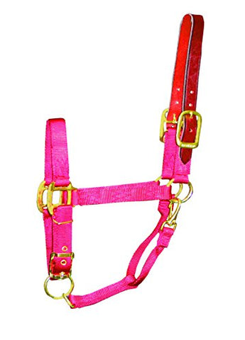 Hamilton 1-Inch Nylon Adjustable Horse Halter with Leather Head Poll and Throat Snap, Average, Red