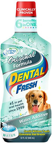 SynergyLabs Dental Fresh Original Formula, 32oz.