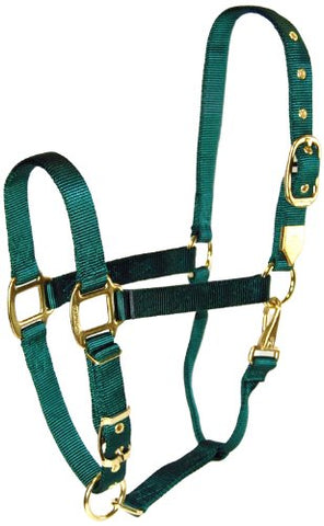 Hamilton 1-Inch Nylon Halter with Adjustable Chin, Dark Green, Large Size 1100 to 1600-Pound