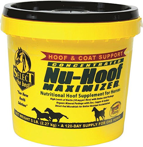 RICHDEL 784299390508 Nu-Hoof Maximizer Hoof & Coat Support for Horses, 5 lb