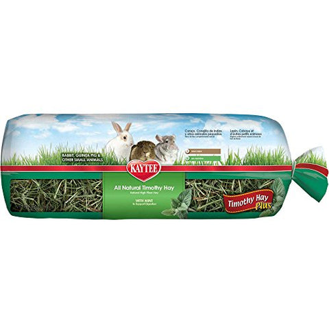 Kaytee Timothy Hay Plus Mint Pet Treat