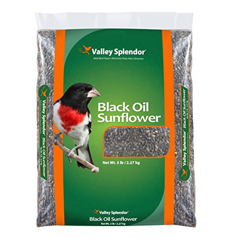 Red River Valley Splendor Black Oil Sunflower Seeds, 5 lbs